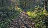 Trail Walking Liège - Balade blanc gravier - Photo 11