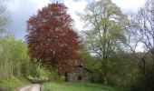 Randonnée A pied Bad Sooden-Allendorf - Rundwanderweg BSA 2 zum Schloss Rothestein - Photo 8