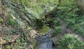 Tocht Stappen Aken - Bismarcksturm Aachen Centrum Lousberg boucle park 15 km - Photo 1