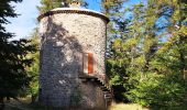 Randonnée Marche Concoules - Mont Lozère au départ de Concoules  - Photo 2