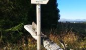 Trail Walking Allanche - Allanche-marcenat - TVR - jour 1 - Photo 4