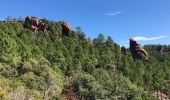 Tour Wandern Fréjus - Plan de l'Esterel depuis la Maison Forestière du Malpey - Photo 7