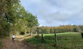 Trail Walking Vresse-sur-Semois - Alle - Orchimont - Photo 18