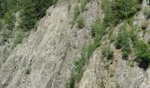 Randonnée Marche Chamonix-Mont-Blanc - Gare de Chamonix aux Houches par l'Arve - Photo 17