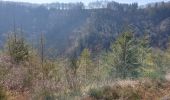 Trail Walking Malmedy - Xhoffray 230421 - Photo 12