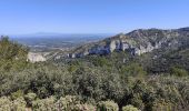 Trail Walking Saint-Rémy-de-Provence - Plateau de Caume - Photo 16