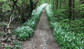 Tocht Stappen Chaudfontaine - Beaufay-Embourg-Tilf 11km - Photo 8