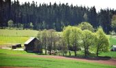 Tocht Te voet Schauenstein - Handweber-Weg OS 24 - Photo 2