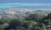Excursión Senderismo Punaauia - vue panoramique Le Pin vers Mont Mamanu - Photo 3
