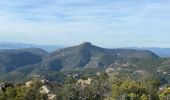 Trail Walking Saint-Raphaël - Les Suvières depuis Belle Barbe - Photo 4