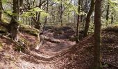 Tocht Stappen Belœil - bois stambruges - Photo 6