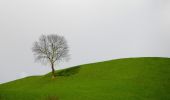 Tour Zu Fuß Moos in Passeier - Passerschluchtenweg - Photo 10