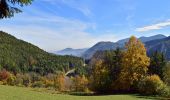 Randonnée A pied Gemeinde Breitenstein - Breitenstein - Klamm - Photo 3