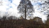 Tocht Stappen Malmedy - xhoffray .reinhardstein . carrière de la wache  . xhoffray  - Photo 14