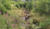 Randonnée Marche Plainfaing - Cascade du Rudlin - Photo 1