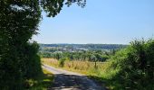 Tocht Stappen Consdorf - 2023-06-19_09h33m43_Sentier_local_-_C6 - Photo 1