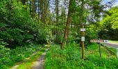 Randonnée Marche Bièvre - Promenade de la Roche Mouselle - Petit-Fays - Photo 9