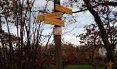 Tour Wandern Vaugneray - col de la luere, départ du stade de Vaugneray - Photo 6