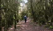Trail Walking Arinthod - Étape 3 - Photo 3