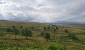 Tour Wandern Anglards-de-Salers - Chemin des estives - Photo 7