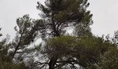 Tour Wandern Manosque - 1Gaude via bellevue - Photo 2