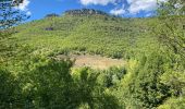 Excursión Bici de montaña Val-d'Aigoual - Fait GTMC E6 Bez et Esparon - Photo 14