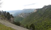 Tour Wandern Romeyer - Col des Bachassons depuis Romeyer - Photo 15
