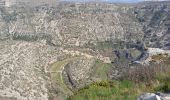 Excursión Senderismo Saint-Maurice-Navacelles - Vallée de la Vis, moulins de la Foux en boucle - Photo 5