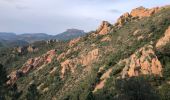 Trail Walking Saint-Raphaël - les Grues, le Mont St Martin depuis les Lentisques - Photo 2