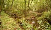 Trail On foot Unknown - Poppenbüttel - Fuhlsbüttel (P-FL) - Photo 8