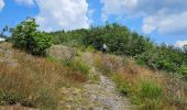 Randonnée Marche Boulaide - Eislek-pad-Boulaide - Photo 11