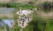 Tour Zu Fuß Neustadt an der Orla - Naturlehrpfad Dreba - Plothen - Photo 3