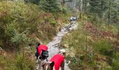 Trail Walking Vagney - Cascade de la Pissoire - Haut du Tôt  - Photo 19