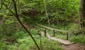 Tocht Te voet Bettembourg - Auto-Pédestre Abweiler - Photo 3