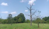 Trail Walking Liège - St Lambert et la Liège Verte - Photo 20