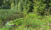 Tour Wandern Stadtbredimus - Stadtbremdimus 17,6 km - Photo 8