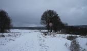 Trail On foot Skořice - [M] Hořejší Padrťský rybník - Pod Hubertkou - Photo 5