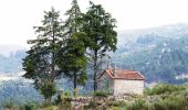 Percorso A piedi Soalhães - Pedras, Moinhos e Aromas de Santiago - Photo 5