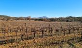 Excursión Senderismo Viols-le-Fort - violslefort-avens-drailles - Photo 2