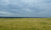 Excursión Bici de montaña Saint-Clément -  sortie vtt du 17062018 SIONVILLER  - Photo 1