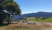 Excursión Senderismo Sainte-Marie-aux-Mines - Col des Bagenelles et les deux Brézouard - Photo 1