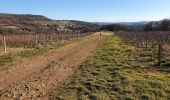 Excursión Senderismo Châtillon - Châtillon - La vallée de l'Azergues - Photo 17