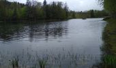 Excursión Senderismo Saint-Nabord - étang demoiselle - Photo 1