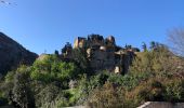 Tour Wandern Castelnou - 20210328 Castelnou-Camelas- boucl - Photo 11