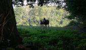 Trail Walking Saint-Pierre-du-Val - Saint Pierre du Val - Photo 4