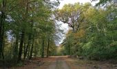 Percorso Marcia Martelange - Sentier des Goutelles des Bacs - Photo 5