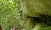 Tour Wandern Buoux - Buoux - Sivergues - Aigue brun - Photo 2