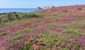 Randonnée Marche Camaret-sur-Mer - Camaret - Photo 14