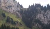 Randonnée Marche La Roche-sur-Foron - GLIERES / BORNES: LE CHESNET - SUR COU - COL DU FREU - Photo 13