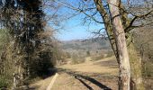 Tour Wandern Rendeux - Hodister  - Photo 3